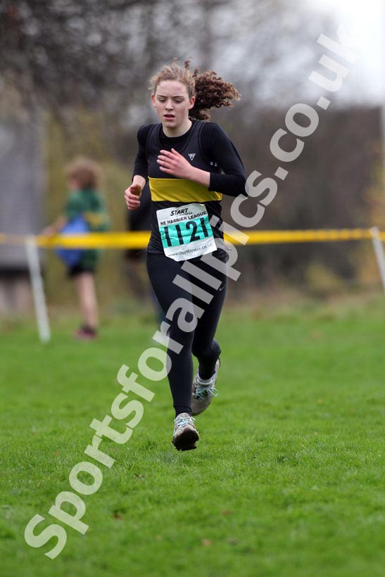 GGreen 1121, North East Harrier League, Blaydon.